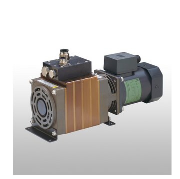 Rotary Vacuum Pump RPV064 Low vacuum, 120L type Screenshot 2023 12 25 at 17 53 25 Rotary Vacuum Pump PISCO PNEUMATIC EQUIPMENT e1703501756793